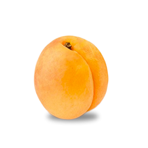 albicocca