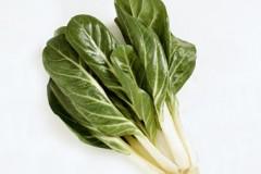 bietole