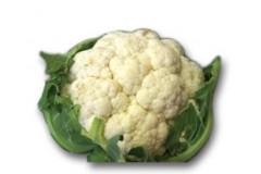 cavolfiori