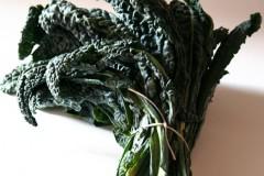 cavolo nero
