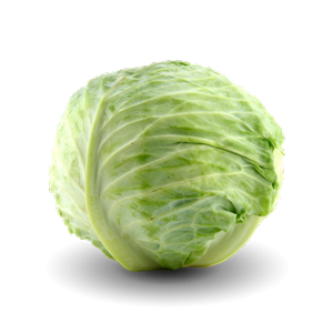 cavolo