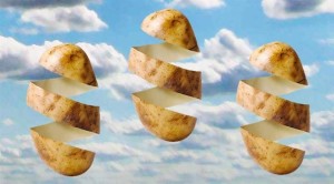 l_2361_patate