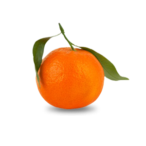 mandarino