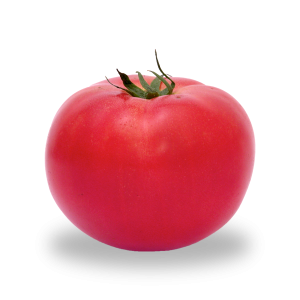 pomodoro