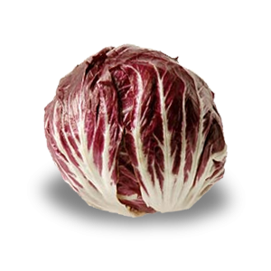 radicchiochitard