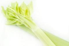 sedano