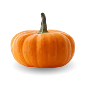 zucca