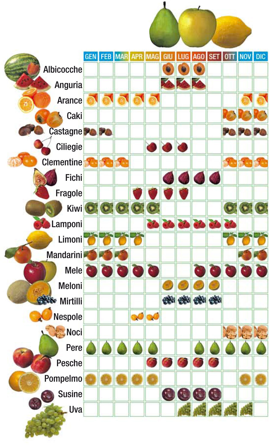 frutta